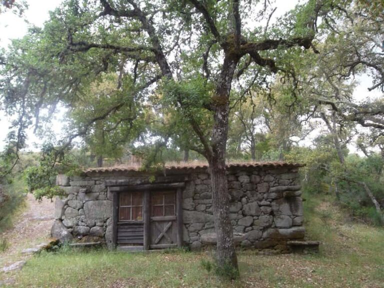 Walking Tour Quadrassal - Romeu - The Bottom Line: Is This Tour Worth It?