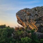 Wareham: Purbeck Countryside Sights E-Bike Tour - Final Thoughts