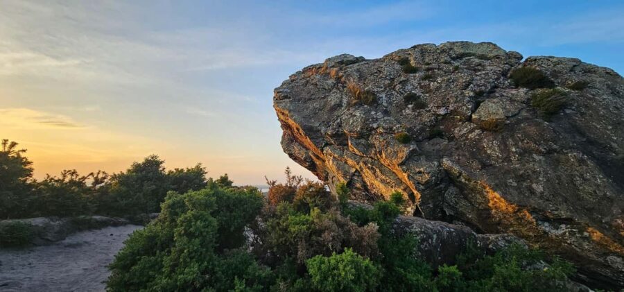 Wareham: Purbeck Countryside Sights E-Bike Tour - Final Thoughts