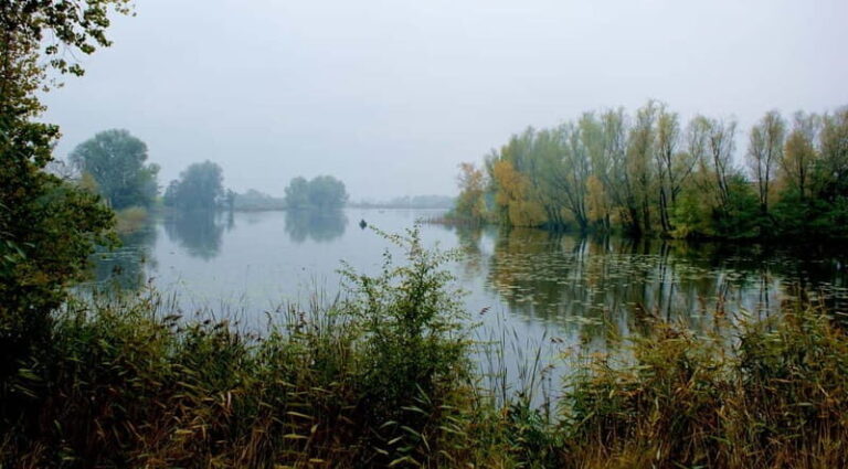 Warsaw: Exclusive city tour with photo session - What’s Included and What’s Not