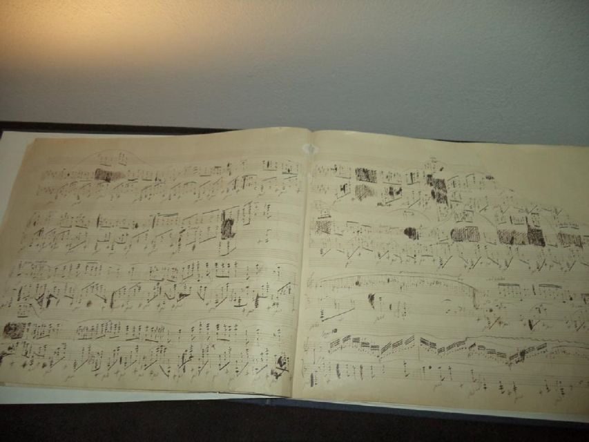 Warsaw: Half-Day Private Chopin Tour to Zelazowa Wola - The Practical Side: Costs, Duration, and Comfort