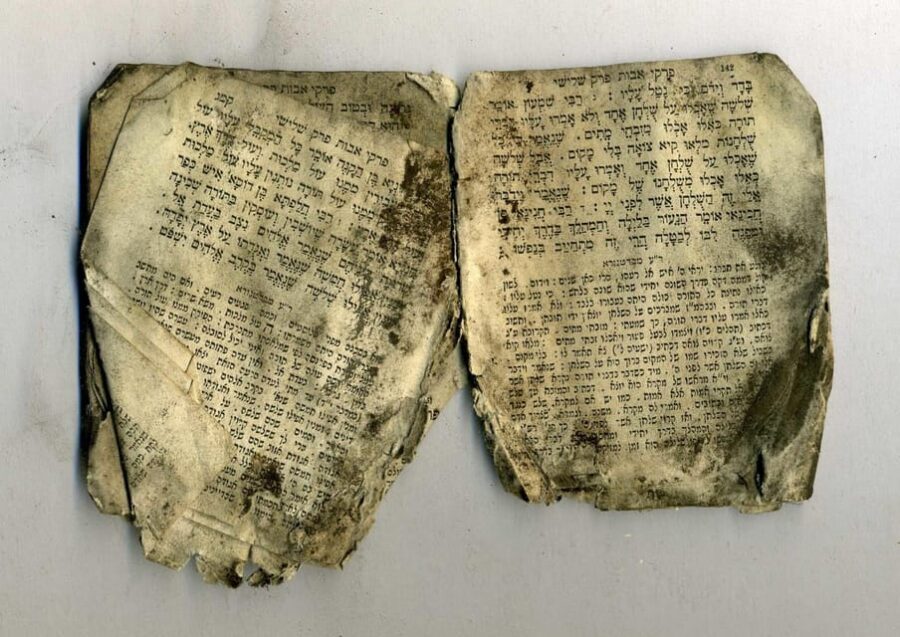 Warsaw: Jewish Heritage & Holocaust Walking Tour - The Guides and Their Impact