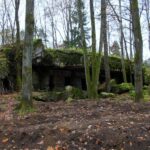 Warsaw: Private Full-Day Wolf's Lair Tour - The Sum Up