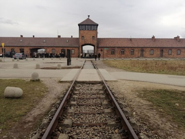 Warsaw: Tour to Krakow and Auschwitz by Train with Pickup - Logistics and Comfort