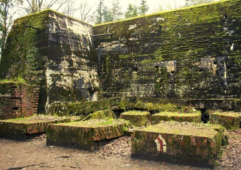 Warsaw: Wolf's Lair & Swieta Lipka Small-Group Tour + Lunch - Lunch Break at a Traditional Polish Restaurant