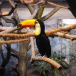 Warsaw Zoo Skip-the-Line Entry Ticket with Private Transport - Is It Worth the Price?