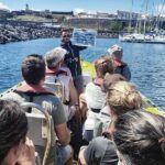 Watching whales and dolphins on Terceira Island - Detailed Breakdown of the Tour