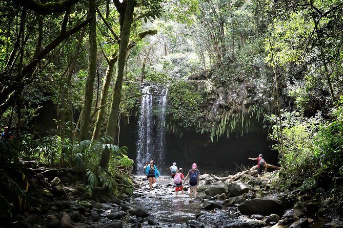 Waterfall & Rainforest Hiking Adventure with Hotel Pickup - The Value of the Tour