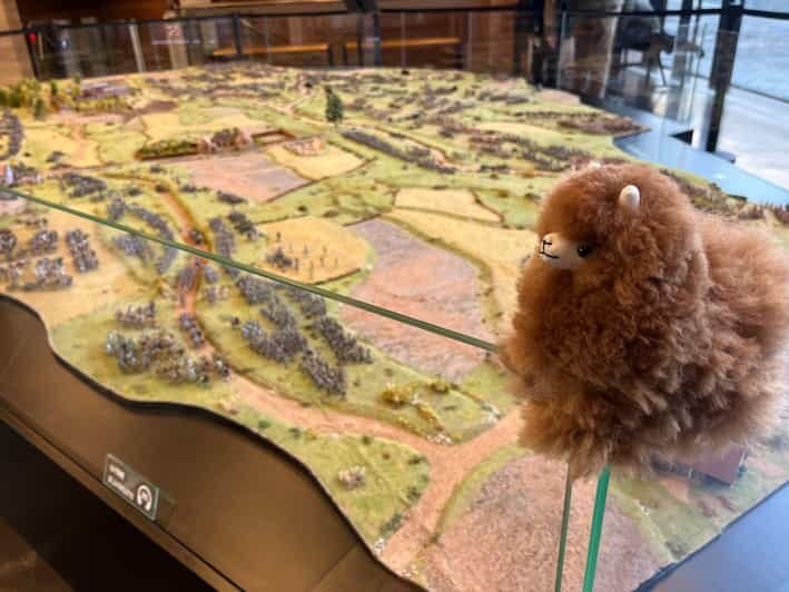 Waterloo from Brussels Half-Day Tour - A Detailed Look at the Itinerary and What to Expect