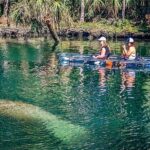 Weeki Wachee Clear Kayak Ecotours Manatee Season - November 14th-March 31st - The Real Experience: Pros and Cons