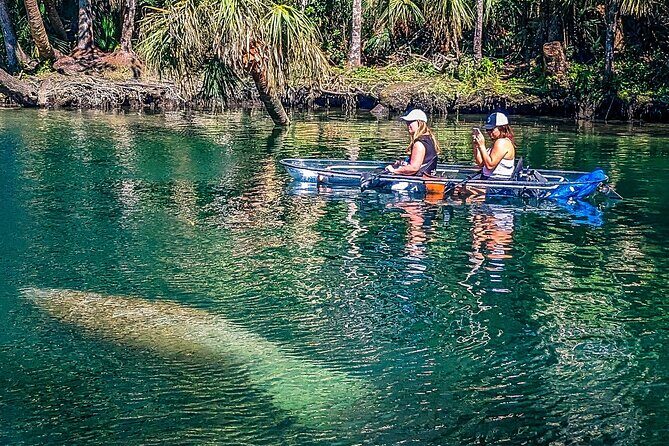 Weeki Wachee Clear Kayak Ecotours Manatee Season - November 14th-March 31st - The Real Experience: Pros and Cons