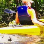 Wekiva River Guided Kayak Tour - What to Expect on the Water