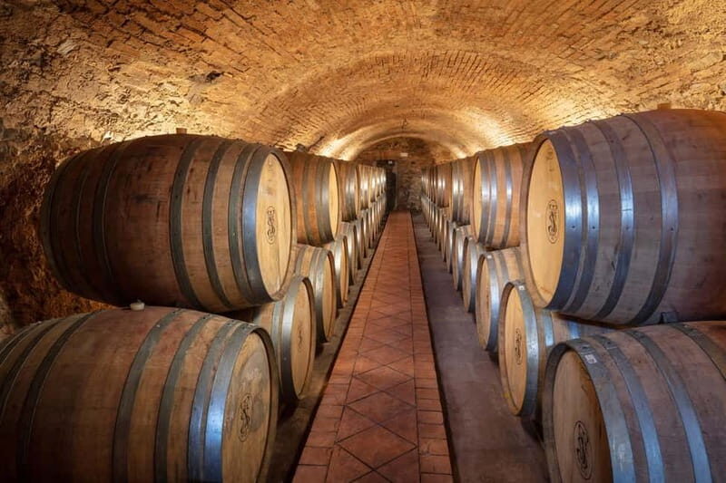 Welcome to Casale del Bosco - The Experience: In-Depth Look at the Vineyard and Cellars