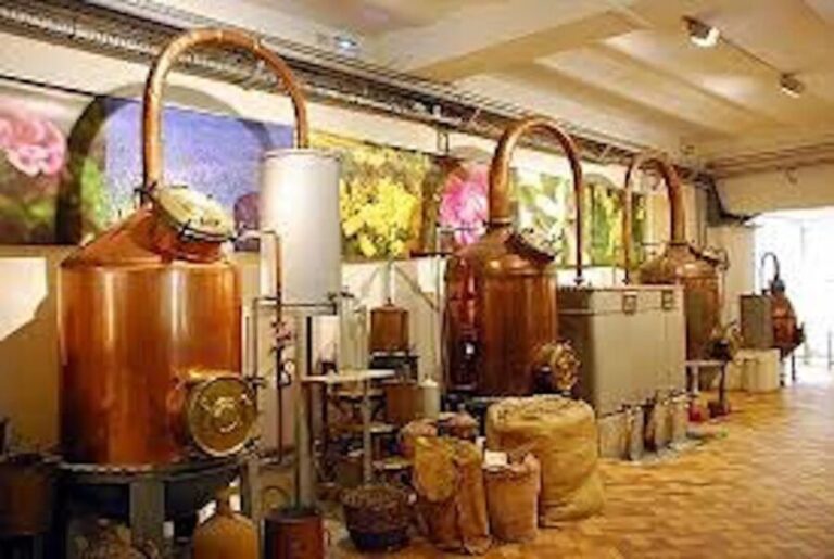 West Coast and Country Side full day Tour - FAQs About the West Coast and Country Side Full Day Tour