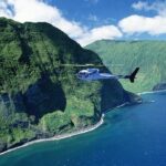 West Maui and Molokai 60-Minute Helicopter Tour - The Experience on the Ground and in the Air