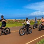 West Maui eBike Self-Guided Island Adventure Tour - Who Will Love This Experience?