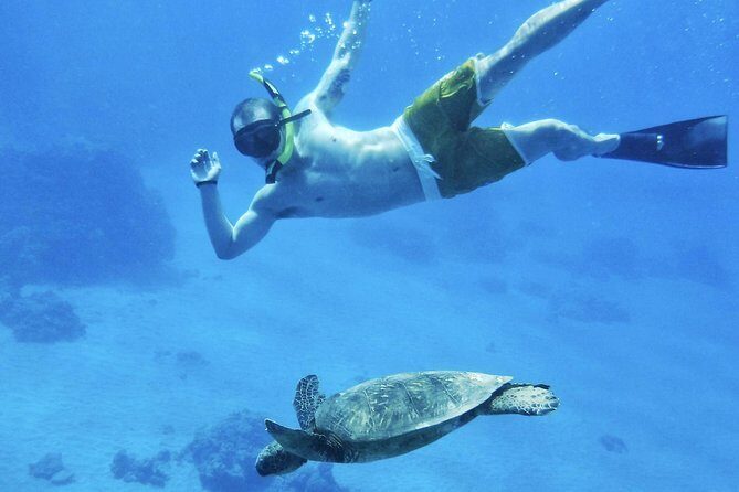 West Maui Half Day Snorkel from Kaanapali Beach - Food and drinks onboard