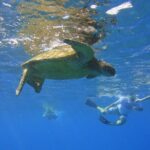 West Maui Snorkeling Experience by Boat from Ka'anapali - Value and Pricing
