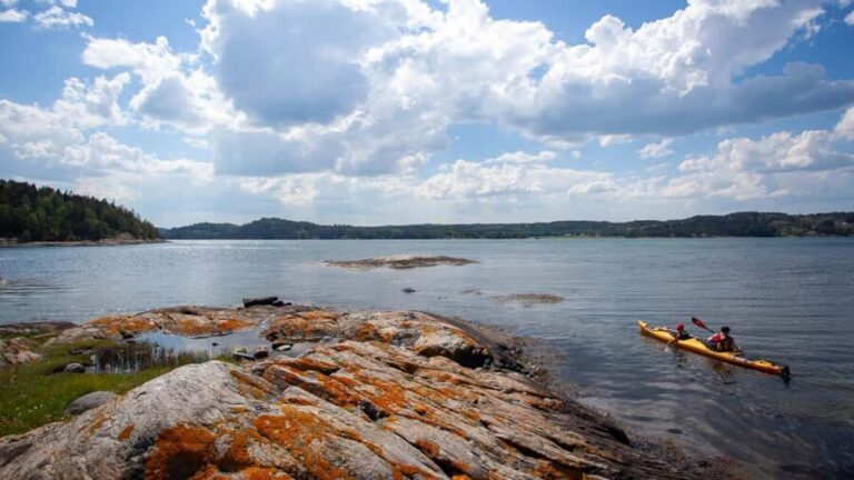 West Sweden: Paddle with seals - The highlights that make this tour standout