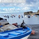 West Tour - What Travelers Say: Honest Feedback