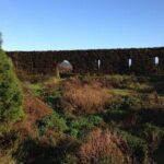 Western and Central Volcanoes on Jeep: Sete Cidades & Fogo Lakes - Summary