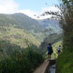 Wet your hair in the amazing Moinhos/Nova Levada - Price and Value