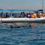 Whale and Dolphin Watching with a Biologist in Puerto Vallarta - Who Is This Tour Best For?