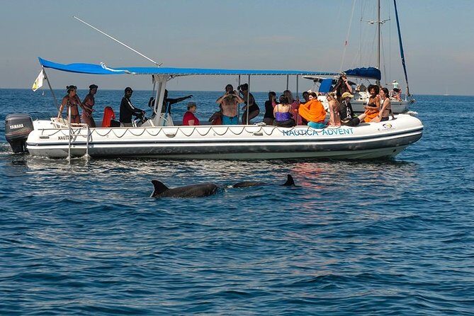 Whale and Dolphin Watching with a Biologist in Puerto Vallarta - Who Is This Tour Best For?