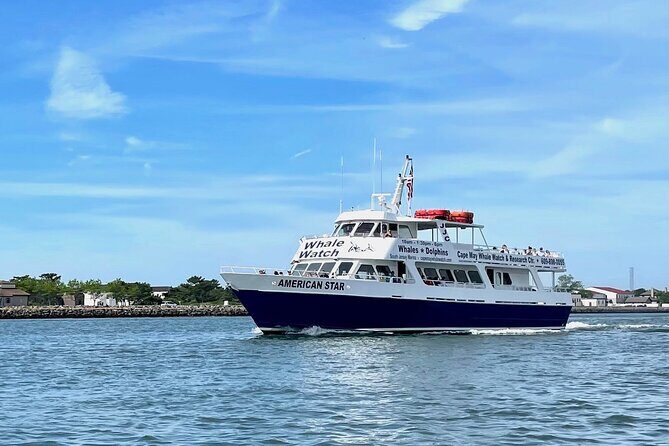 Whale Dolphin and Bird Watching Ecotour Cruise - The Itinerary Breakdown