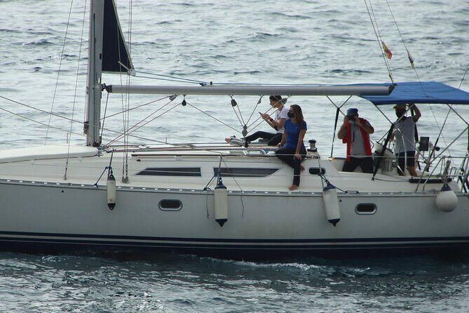 Whale & Dolphin Watching Boat Trip in Tenerife On a Sailing Boat (3 Hr) - The Experience in Detail: What Really Goes On