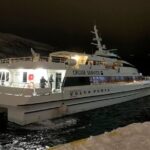 Whale Safari in Tromso - Who This Tour Is Best For