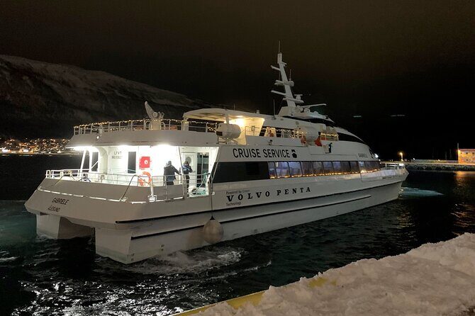 Whale Safari in Tromso - Who This Tour Is Best For