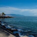 Whale-Shark Snorkeling Excursion to La Paz - What’s Not So Great