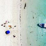 Whale sharks and sea lions snorkeling plus Balandra beach lunch - Why This Tour Stands Out