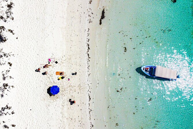 Whale sharks and sea lions snorkeling plus Balandra beach lunch - Why This Tour Stands Out