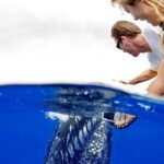 Whale Watch Adventure Aboard Maui's Only Luxury Super Raft - The Value of the Experience