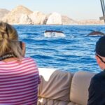 Whale Watching in Cabo San Lucas on board our Luxury Trimaran! - The Value of this Experience