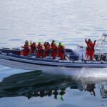 Whale Watching in Reykjavik by Speedboat - What the Price Gets You: Is it Worth $191?