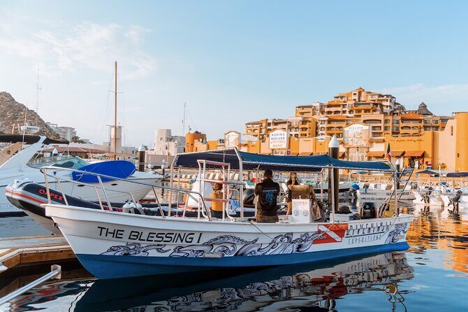 Whale Watching Tour in Cabo San Lucas - Who Should Consider This Tour?