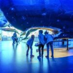 Whales Of Iceland Admission Ticket - What the Reviews Tell Us