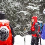 Whistler Intro to Backcountry Skiing and Splitboarding - Pricing and Value