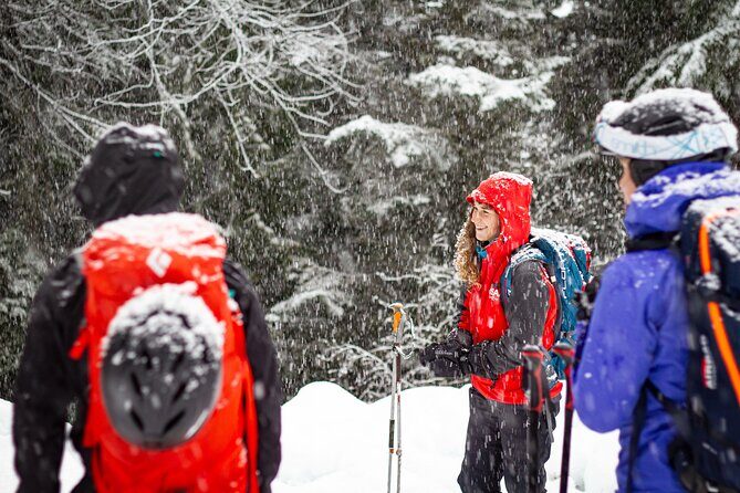 Whistler Intro to Backcountry Skiing and Splitboarding - Pricing and Value