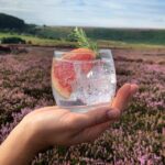 Whitby: Guided Distillery Tour with Gin Tasting - The Experience Itself: A Closer Look