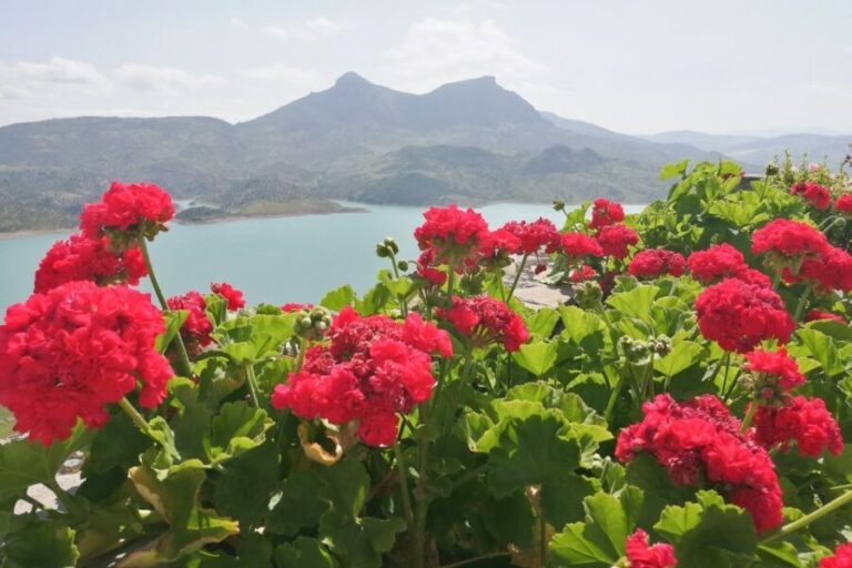 White Villages & Ronda 2-Days Trip & Overnight Stay - The Downsides and Considerations