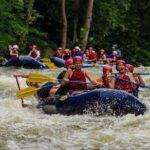 White Water Rafting Experience on the Upper Pigeon River - What Makes This Tour Stand Out?
