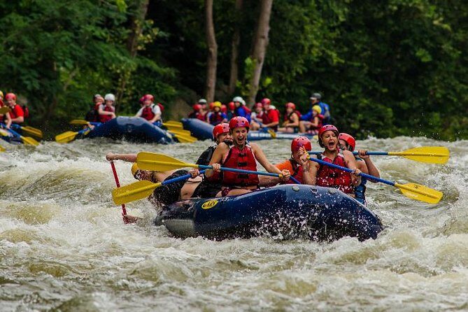 White Water Rafting Experience on the Upper Pigeon River - What Makes This Tour Stand Out?