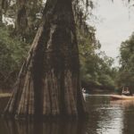 Whitney Plantation and Manchac Swamp Kayak Tour Combo - What the Tour Means for You