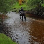 Wicklow Mountains Horse Trekking - The Value of This Experience