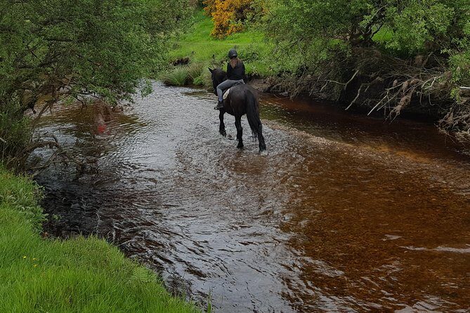 Wicklow Mountains Horse Trekking - The Value of This Experience