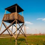Wieliczka Salt Mine and Auschwitz-Birkenau Tour - A More In-Depth Look at the Tour Experience